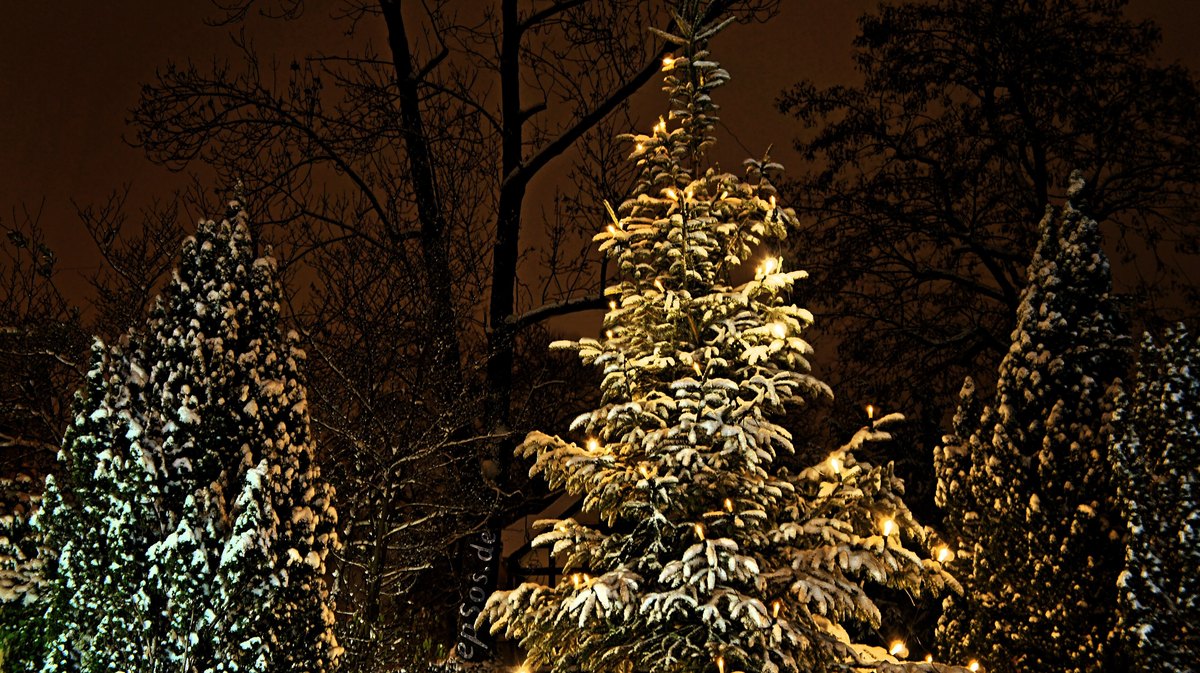 Christmas Eve Ideas That Make the Night Before the Main Event — photo