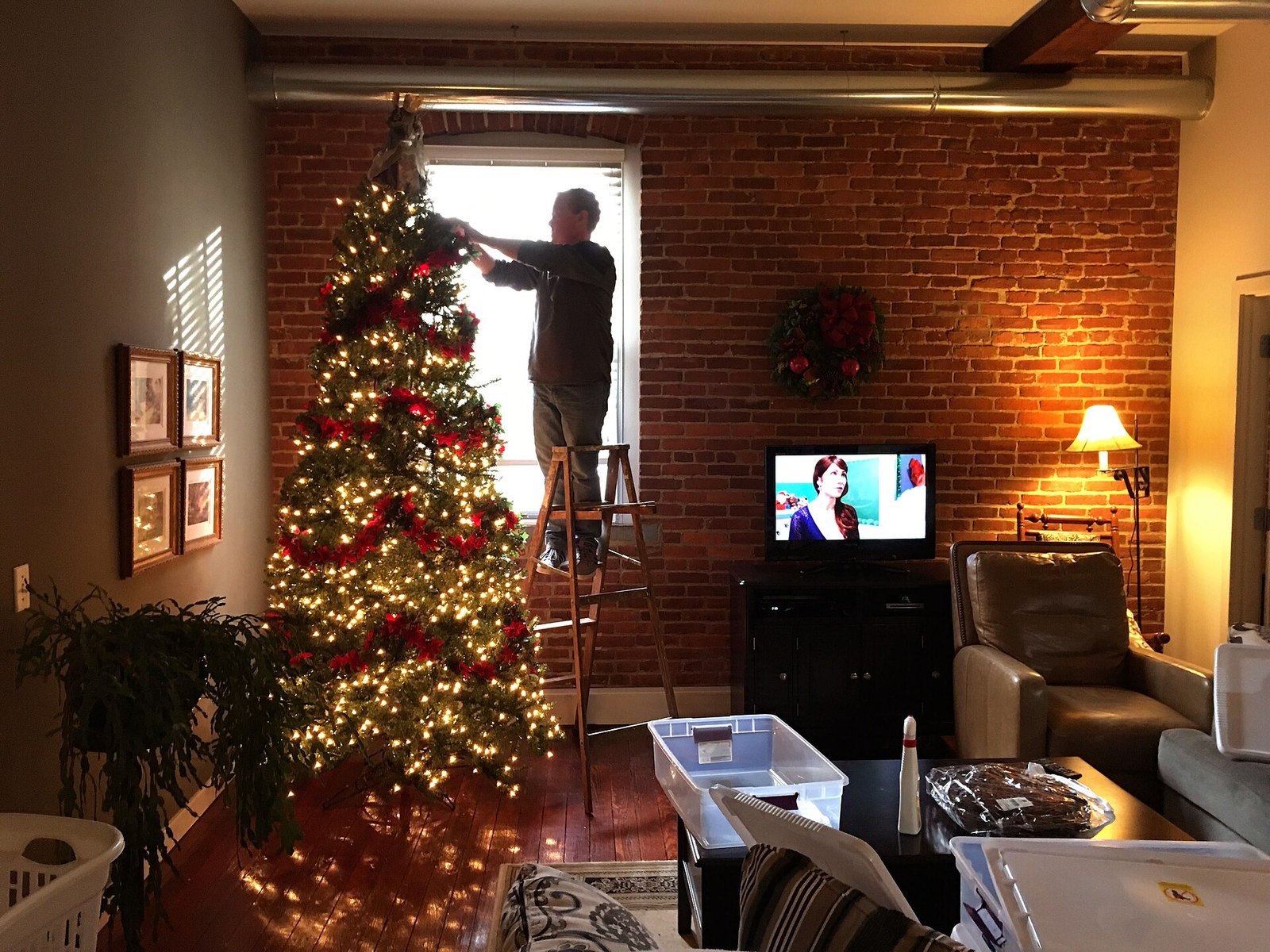 A tall Christmas tree covered in warm white lights, being decorated from a ladder in a cozy living room