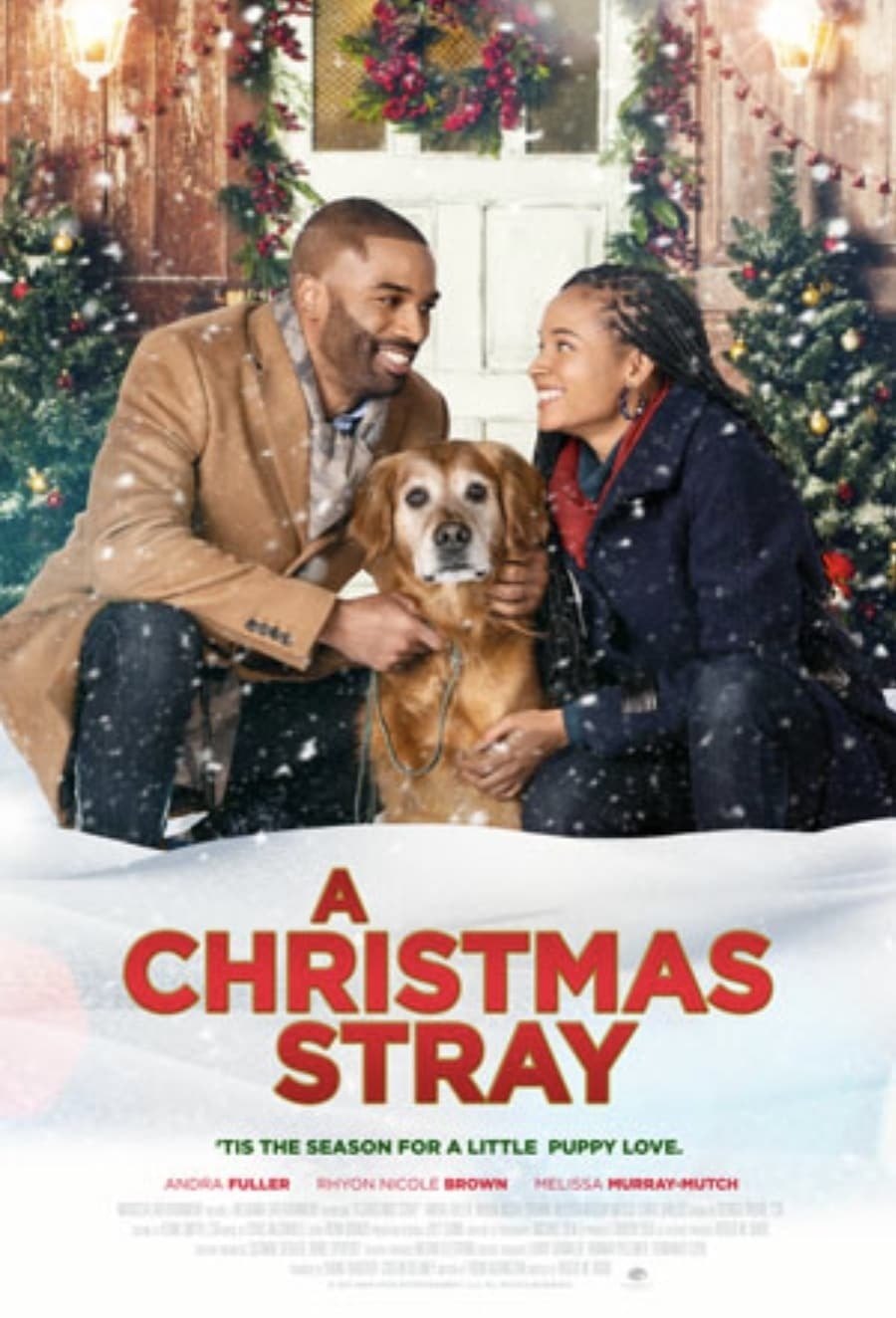 A Christmas Stray — official movie poster