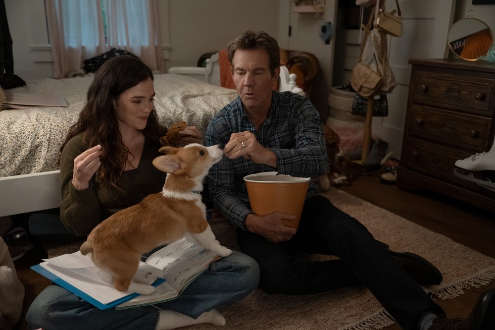A Dog's Perfect Christmas — official movie poster