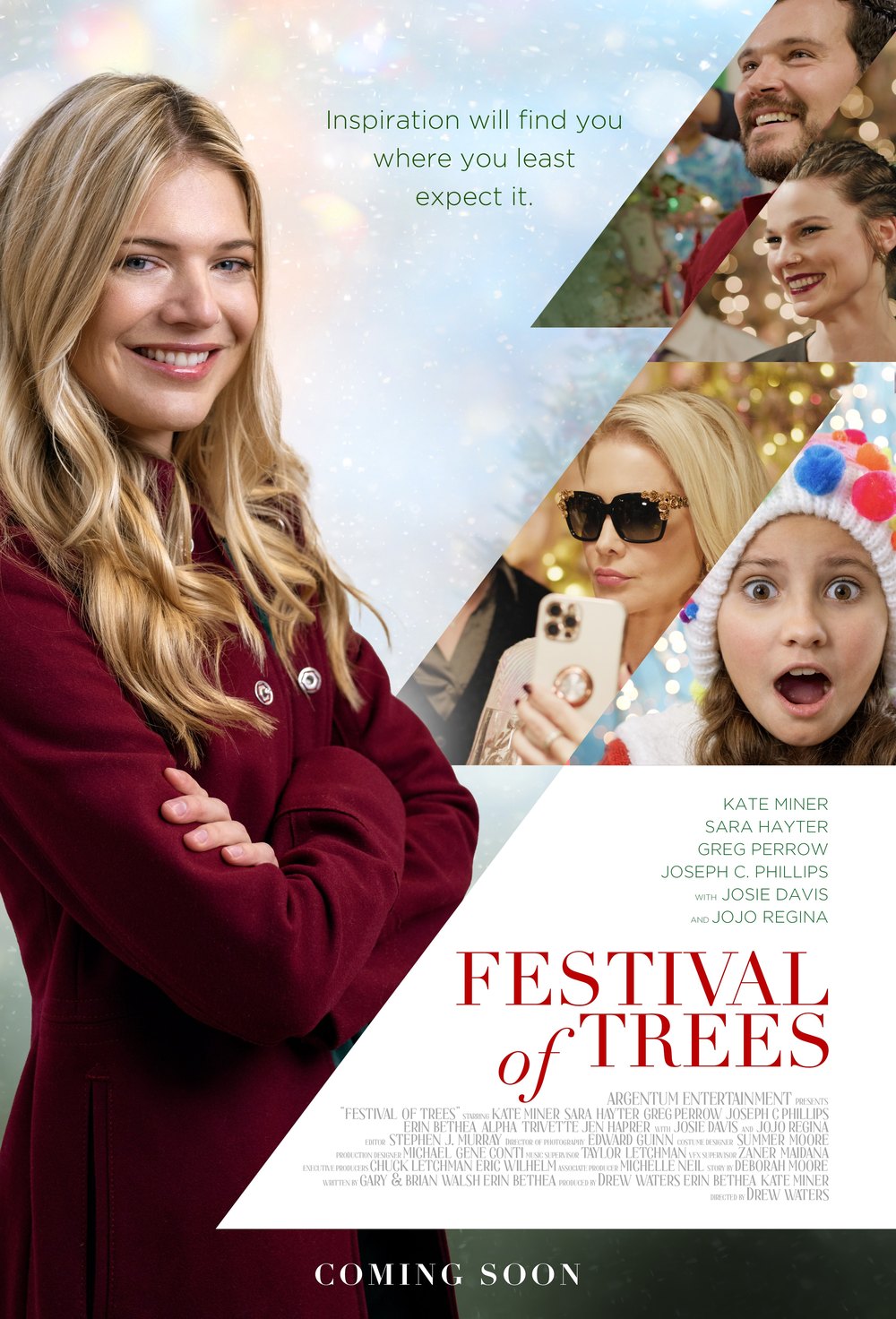 Festival of Trees — official movie poster
